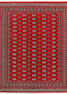 Firebrick Bokhara 7' 11 x 9' 9 - No. 59360