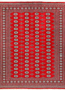 Firebrick Bokhara 7' 10 x 9' 10 - No. 59404