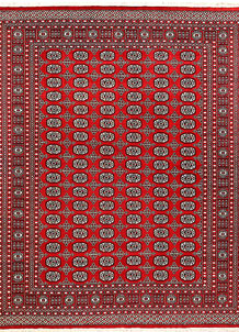 Firebrick Bokhara 7' 11 x 10' 2 - No. 59410