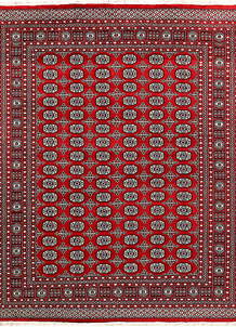 Firebrick Bokhara 7' 10 x 9' 11 - No. 59411