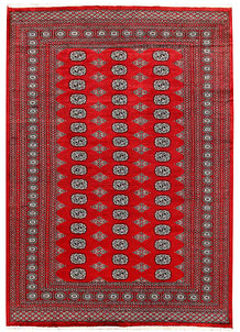 Firebrick Bokhara 6' 3 x 8' 10 - No. 60067